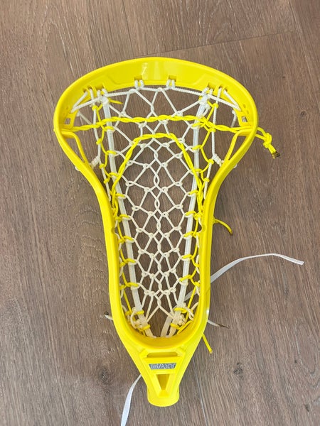 Limited Edition VOLT Apex Strung Head (New)