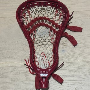 Gait D2T Head Custom Dyed Strung Like New