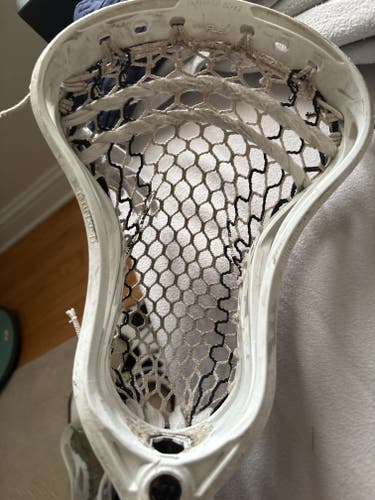 Warrior Strung Head (Used)