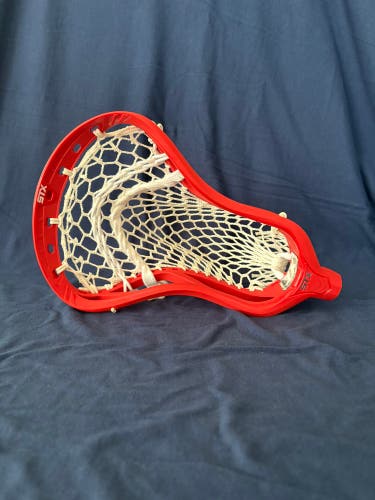 STX Strung Stallion 1K Head (New)