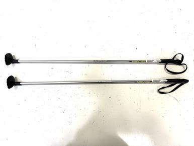 Used Fischer JUNIOR Boys DH Ski Pole Grey 95 cm / 38 in 11860-S000295429