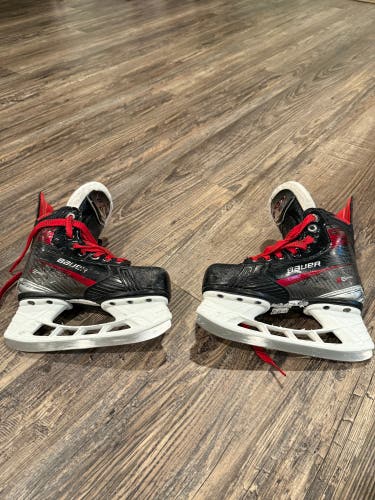 Bauer Vapor 5x pro Hockey Skates Regular Width 13 (Used)