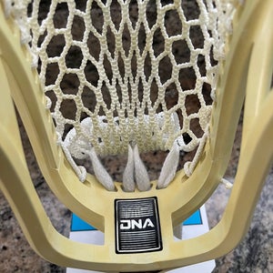 ECD DNA Head (New)