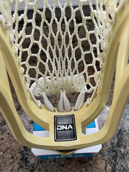 ECD DNA Head (New)