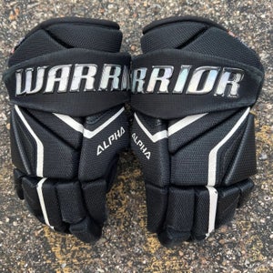Youth Warrior Alpha LX2 Pro Gloves 9" (Used)