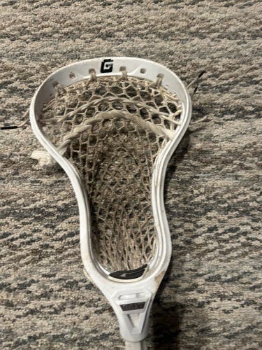 Gait Stick (Used)