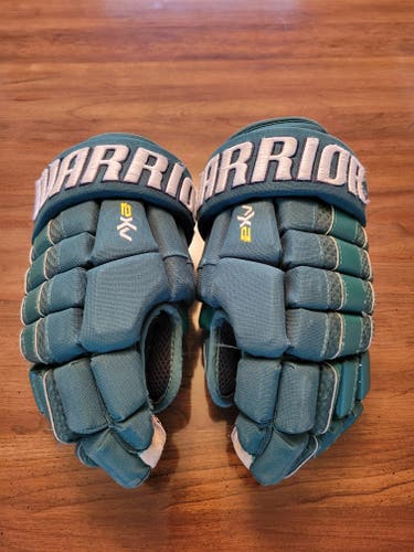 Warrior Dynasty AX2 Gloves 12" (Used)
