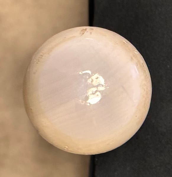 めーぷる Marucci AM22 Pro Maple Youth Bat 30in. | SidelineSwap | Buy