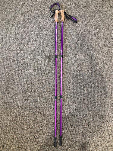 Adjustable Size Other Ski Poles (Used)
