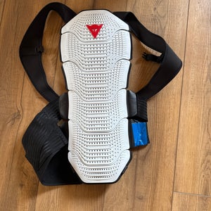 Medium Dainese Back Plate (Used)