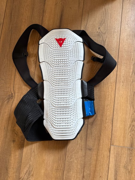 Medium Dainese Back Plate (Used)