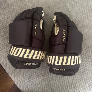Boston Bruins Warrior Alpha Pro Gloves 14" Pro Stock (New)