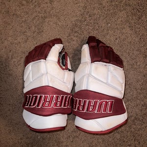 Warrior Alpha Pro Gloves 14" Pro Stock (Used)