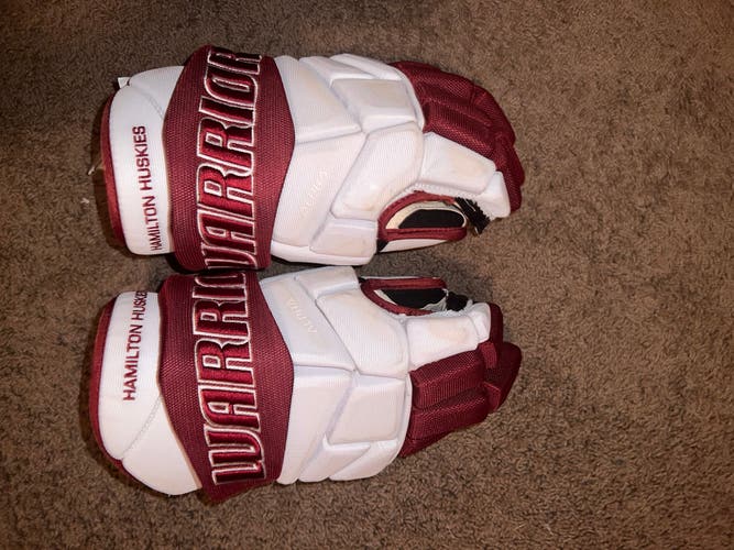 Warrior Alpha Pro Gloves 14" Pro Stock (Used)