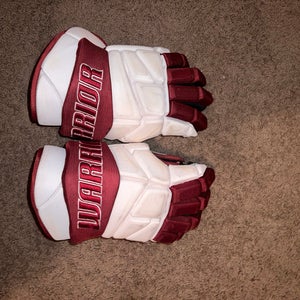 Warrior Alpha Pro Gloves 14" Pro Stock (Used)