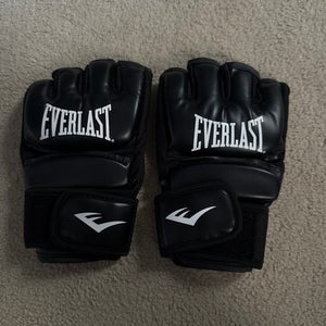 Everlast boxing gloves