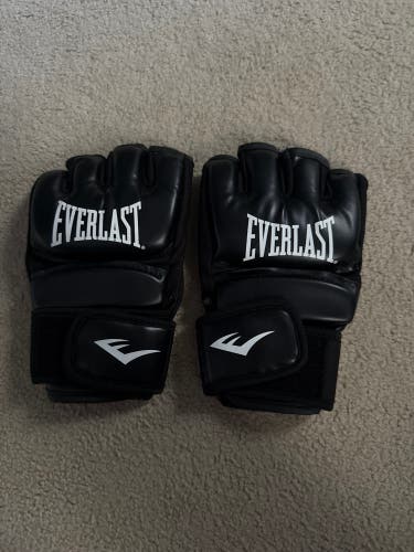 Everlast boxing gloves