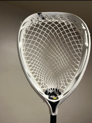 Lacrosse goalie head