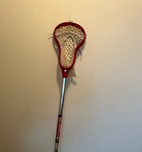 Mini STX Cornell Lacrosse stick. Rare find!
