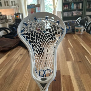 Strung True Vektr Head (New)