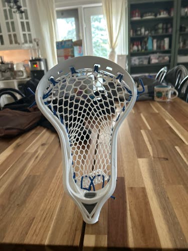 Strung True Vektr Head (New)