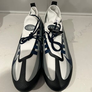 Men's  Size M 12.5 (W 13.5) Nike Low Top (New)