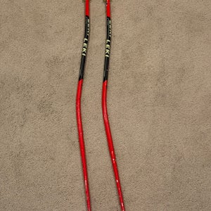Leki GS Poles