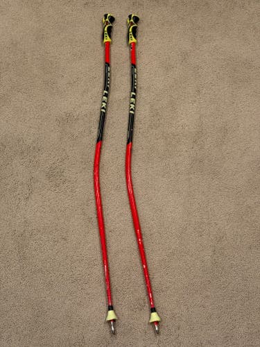 Leki GS Poles