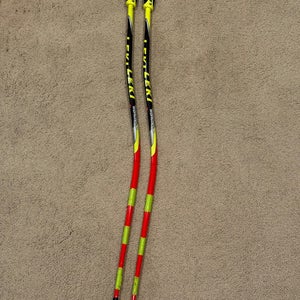 Leki GS poles