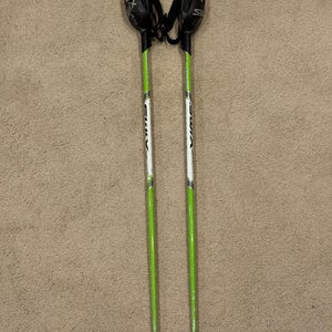 Junior Swix SL poles