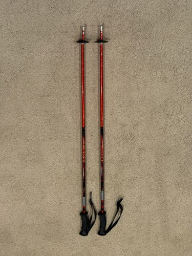 Scott Ski Poles