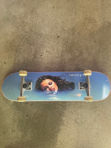 April Shane O’Neill Lake Lady 8.25 Skateboard (Used)