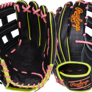 Rawlings (New) Baseball Glove