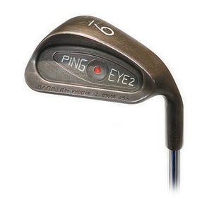 Ping Eye 2 BeCu Single 9 Iron Red Dot Steel True Temper XP 95 R300 Regular Flex