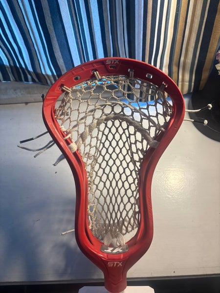 STX Strung Stallion 1K Head (New)