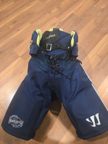 Junior Large Warrior alpha Hockey Pants (Used)