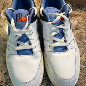 Men's Size M 11.5 (W 12.5) Nike Shoes (Used)