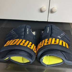 Warrior Alpha DX Pro Gloves 14" Pro Stock St Louis Blues(Used)