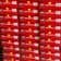 Baseballs 24 Pack (2 Dozen) (New)