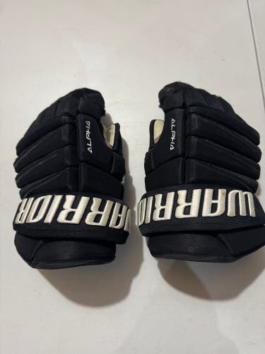 Warrior Alpha QX Gloves 14" Pro Stock (Used)