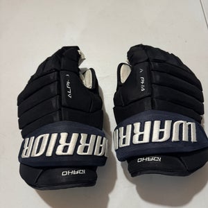 Warrior Alpha Pro Gloves 14" Pro Stock ECHL Idaho (Used)
