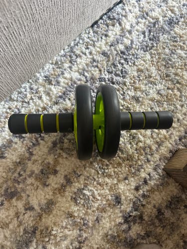 Ab Roller Workout