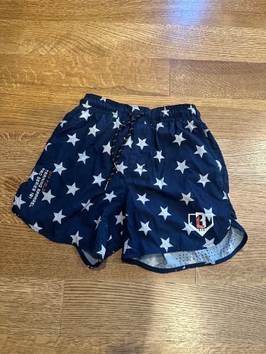 Baseball 101 pro series shorts