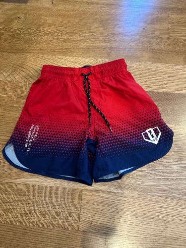 Baseball 101 pro series shorts