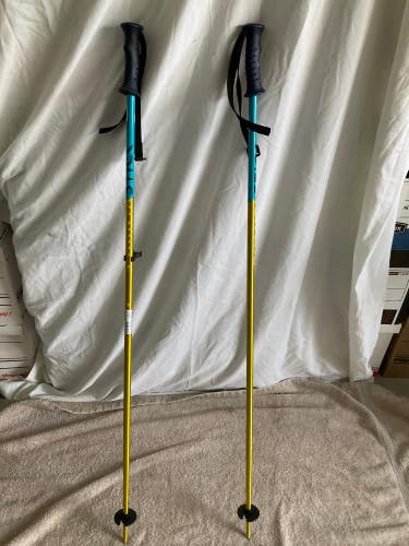 Phantastick Ice Ski Poles | Size: 105cm