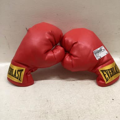 Used Everlast Boxing Gloves Red SM 11725-S000487453