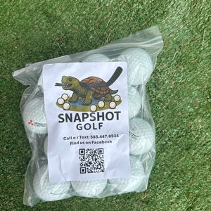 Titleist Pro V1 Balls 12 Pack (1 Dozen) (Used)