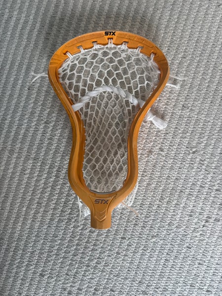 STX Strung Stallion 1K Head (Used)