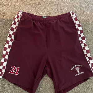 Large Men's  Shorts (Used)