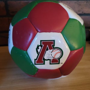Altoona Curve Themed Soccer Ball MiLB SGA